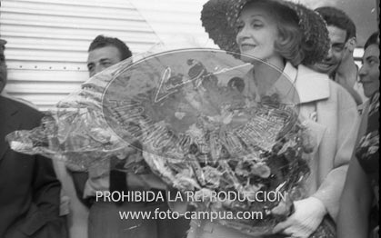 Marlene Dietrich