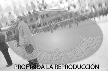 Homenaje a las Brigadas Navarras