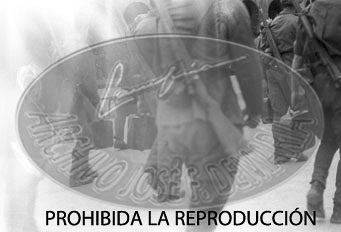 Homenaje a las Brigadas Navarras