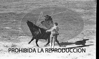 Corrida de Toros en San Sebastián. Manolo Bienvenida