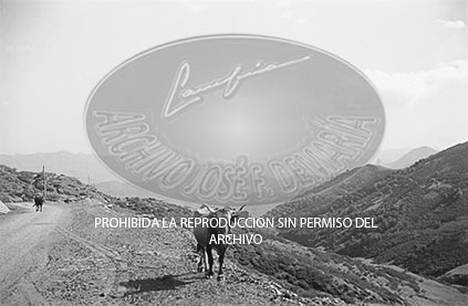 Ribadesella
