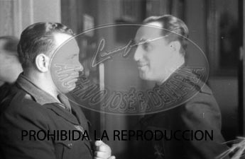 Consejo Nacional de Falange