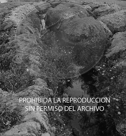 Tardienta
