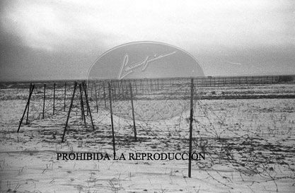Frente de Teruel