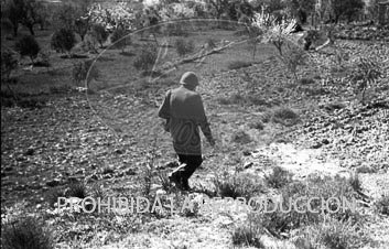Frente del Ebro