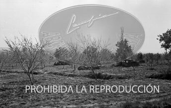 Frente del Ebro