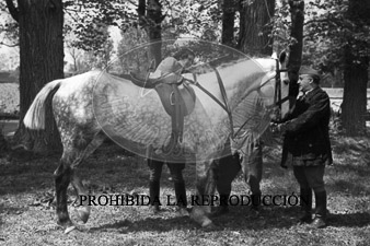 Franco y Carmencita