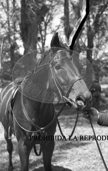 Franco y Carmencita