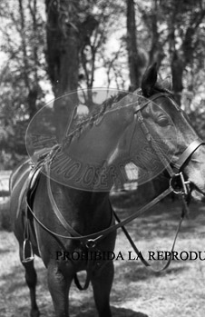 Franco y Carmencita
