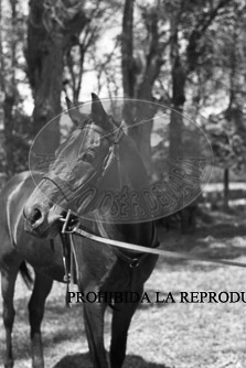 Franco y Carmencita