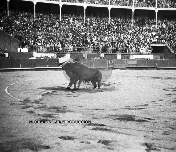 Corrida de toros benefica, 24 abril 1938