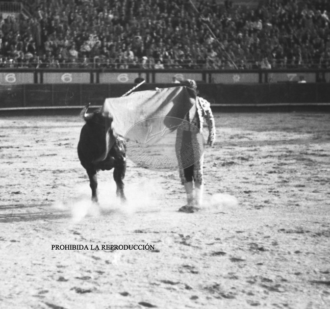 Corrida de toros benefica, 24 abril 1938
