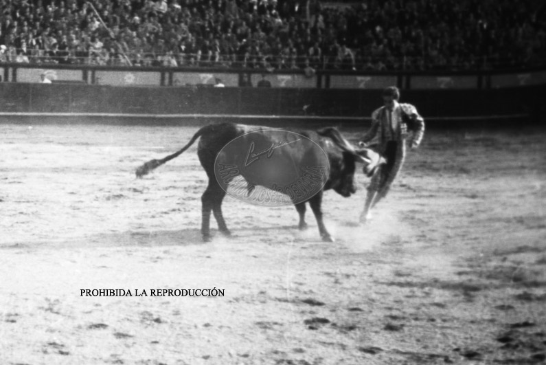 Corrida de toros benefica, 24 abril 1938