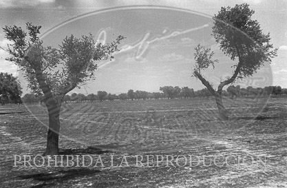 Frente de Extremadura, D Benito y Villanueva