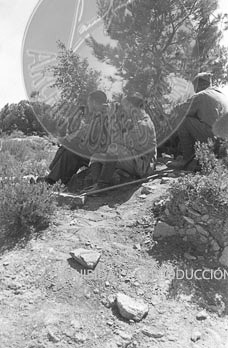 Batalla del Ebro