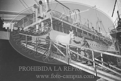 Despedida de los italianos en Cádiz