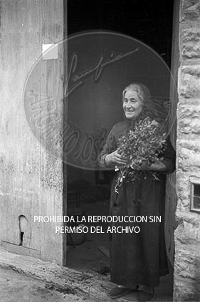 Mora de Ebro