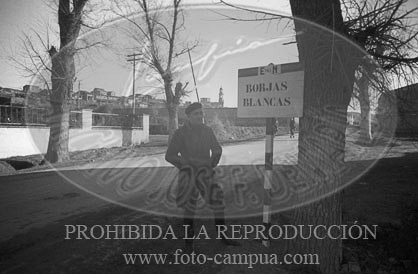 Borjas Blancas