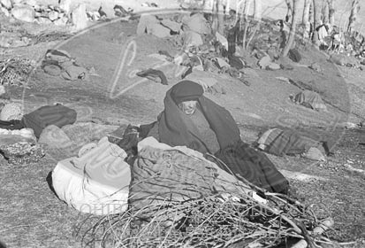 Milicianos y refugiados en Perpignan