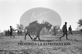 Avance sobre Lerida