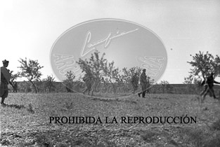 Avance sobre Lerida