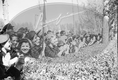 Entrega de guión al Regimiento de Caballeria Farnesio