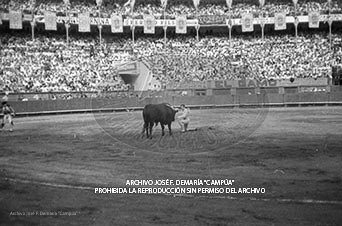 Semana Grande, toros