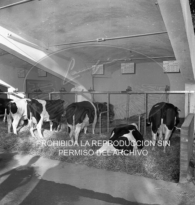 Feria del Campo 1968