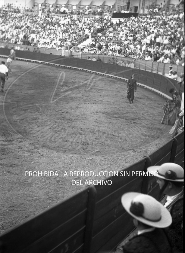 Conchita Cintron