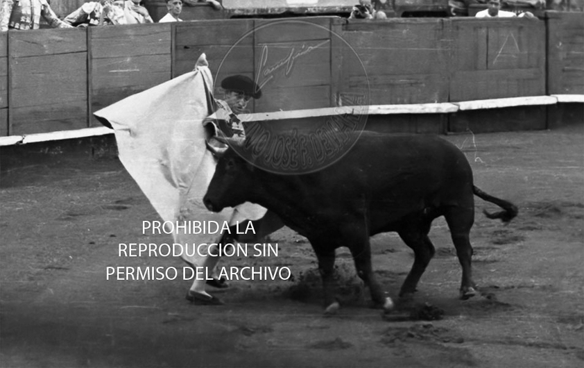Manolete