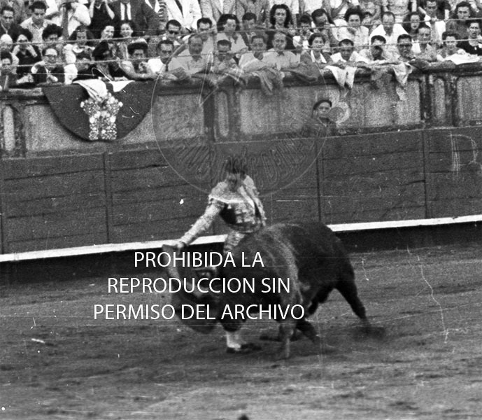 Manolete