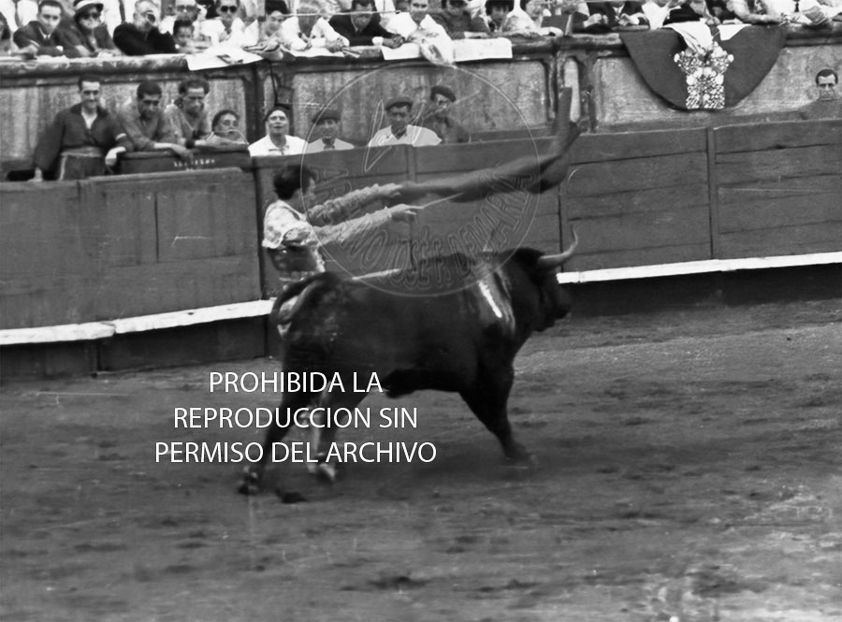Manolete
