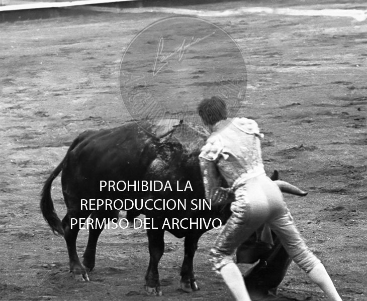Manolete