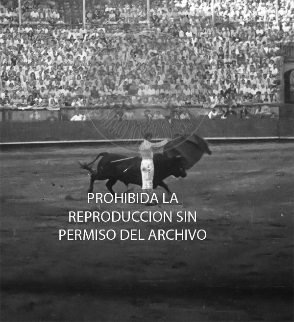 Manolete