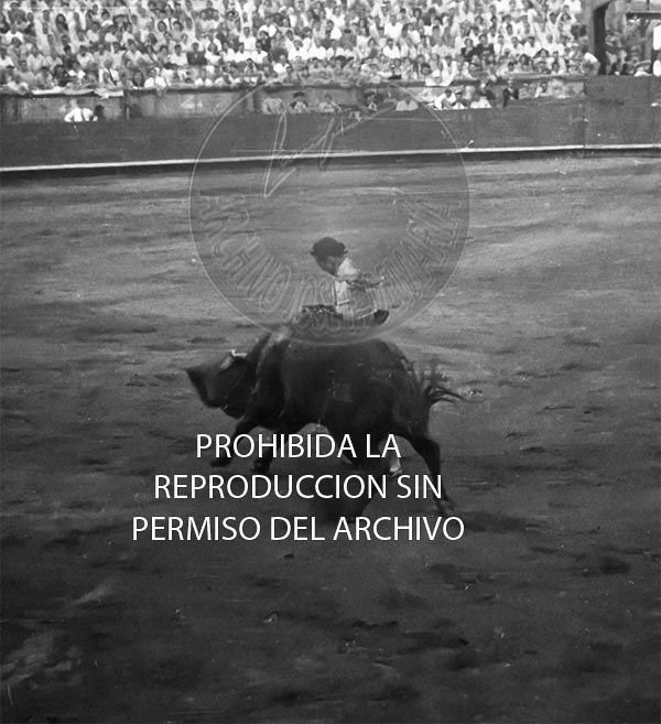 Manolete