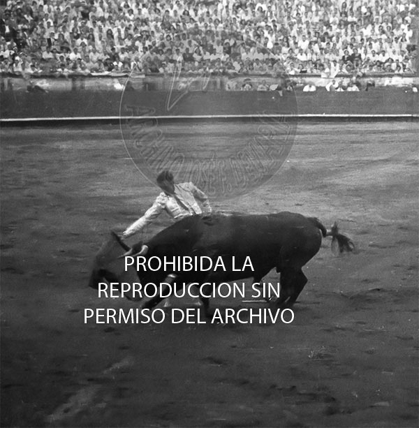 Manolete