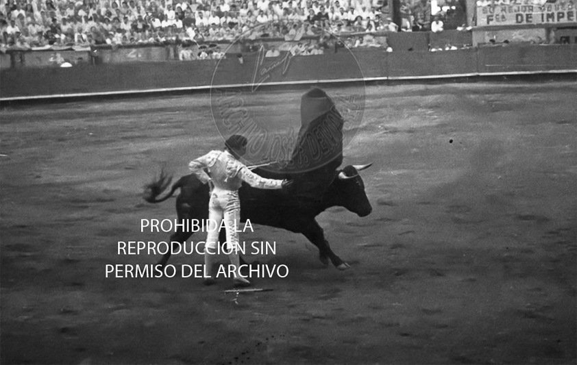 Manolete