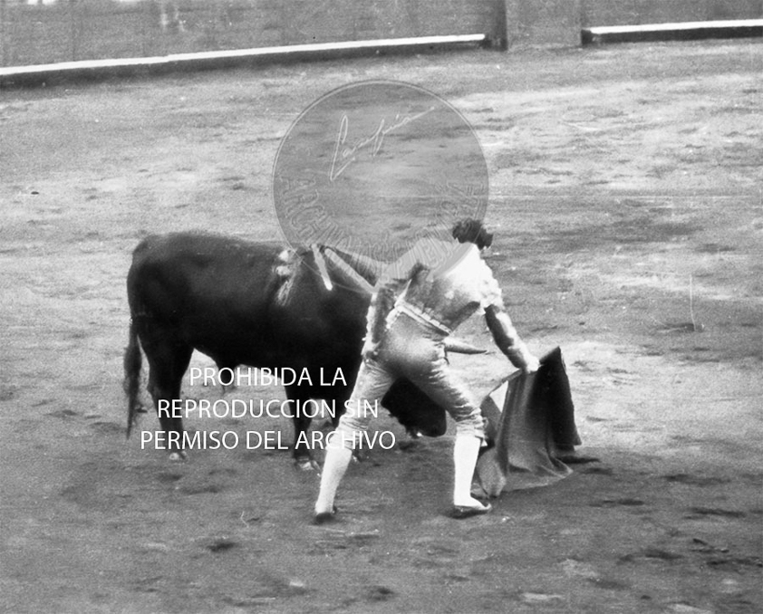 Manolete