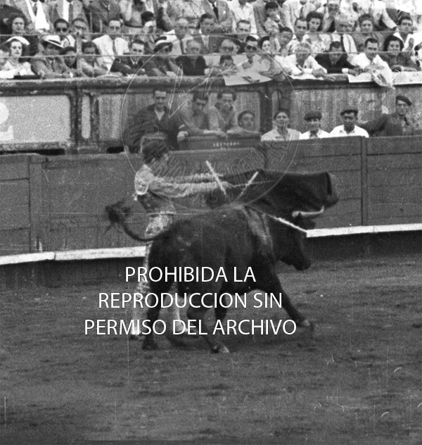 Manolete