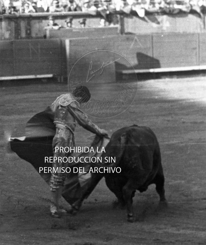 Manolete
