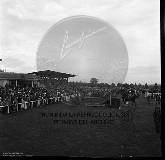 Concurso hípico en Sevilla
