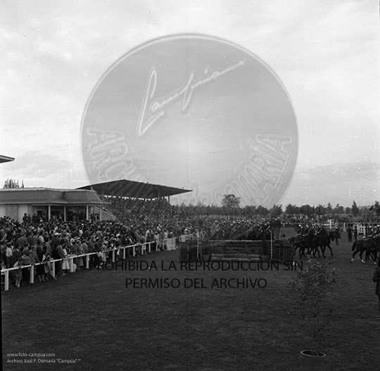 Concurso hípico en Sevilla