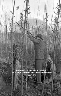 Visita del Presidente de Portugal a España, 1961