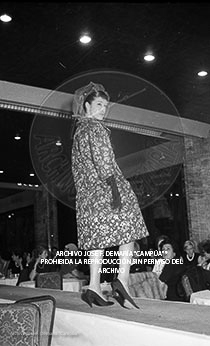 Desfile de Modelos