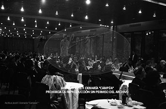 Desfile de Modelos