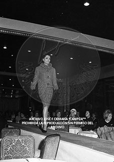 Desfile de Modelos