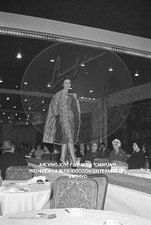 Desfile de Modelos