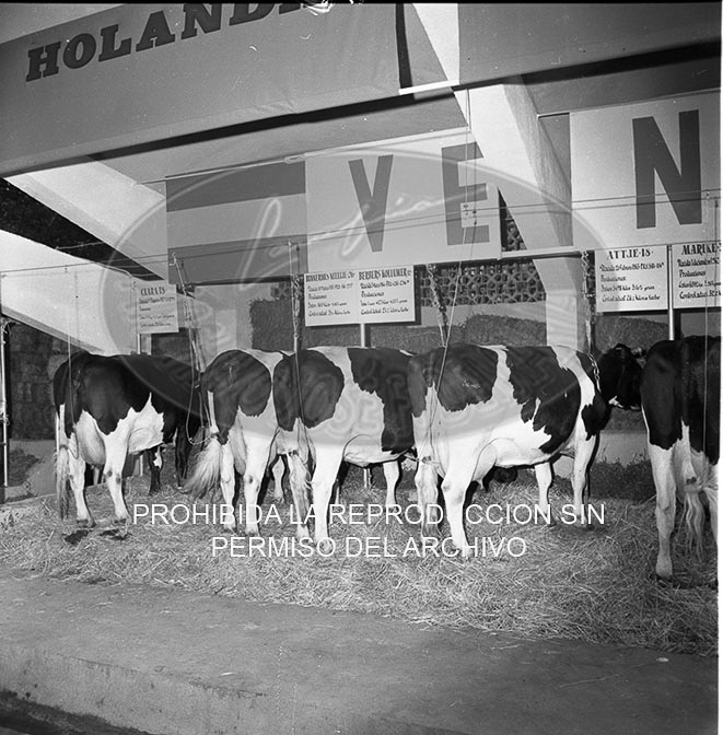 Feria del Campo 1968