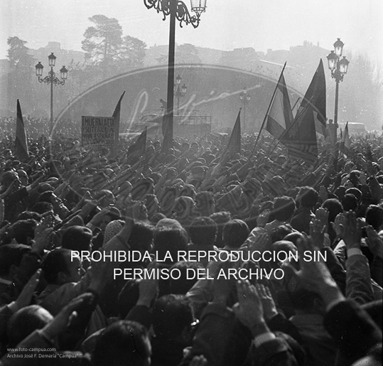 Homenaje a Franco