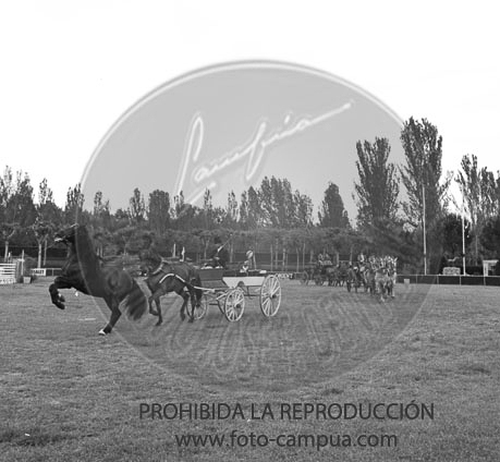Concurso hipico en el Club de Campo de Madrid
